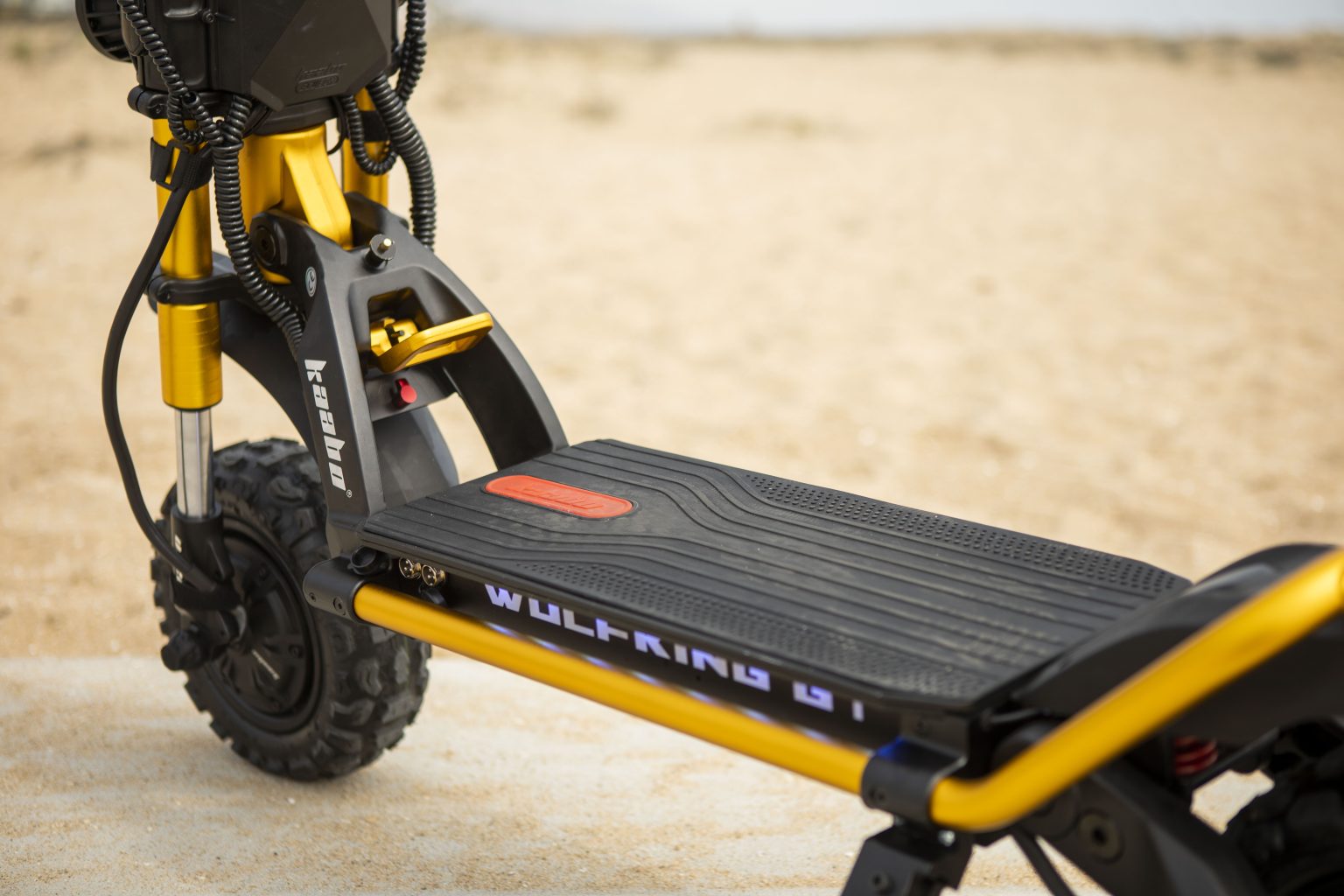 Dual motor electric scooters