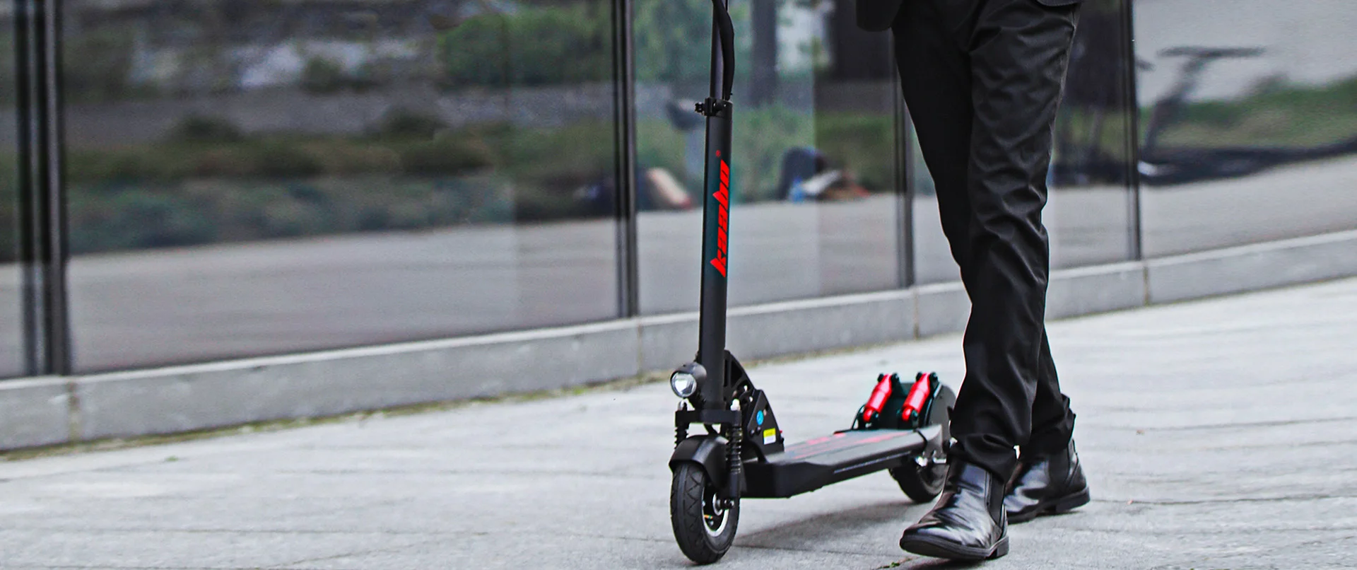 Segway skywalker cheap