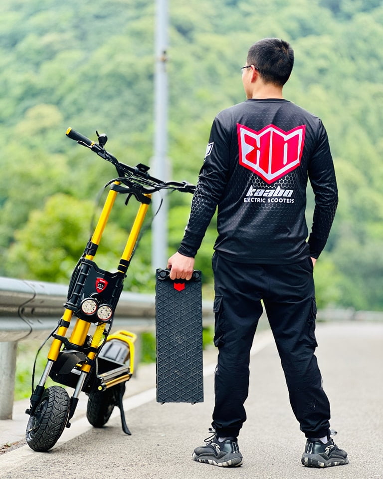 Unveiling the Power A Guide to Electric Scooters battery